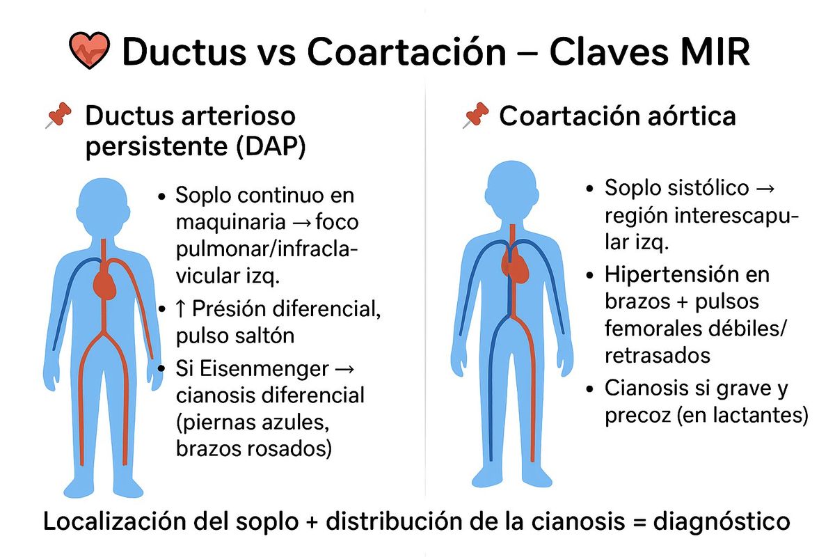 Ductus arterioso persistente vs coartación de aorta