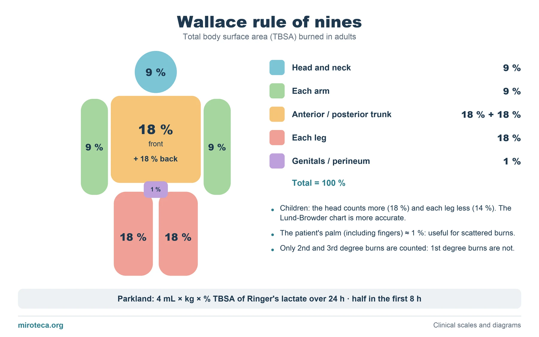 Body silhouette with the Wallace rule of nines percentages: head 9 %, each arm 9 %, trunk 18 % front and 18 % back, each leg 18 % and perineum 1 %