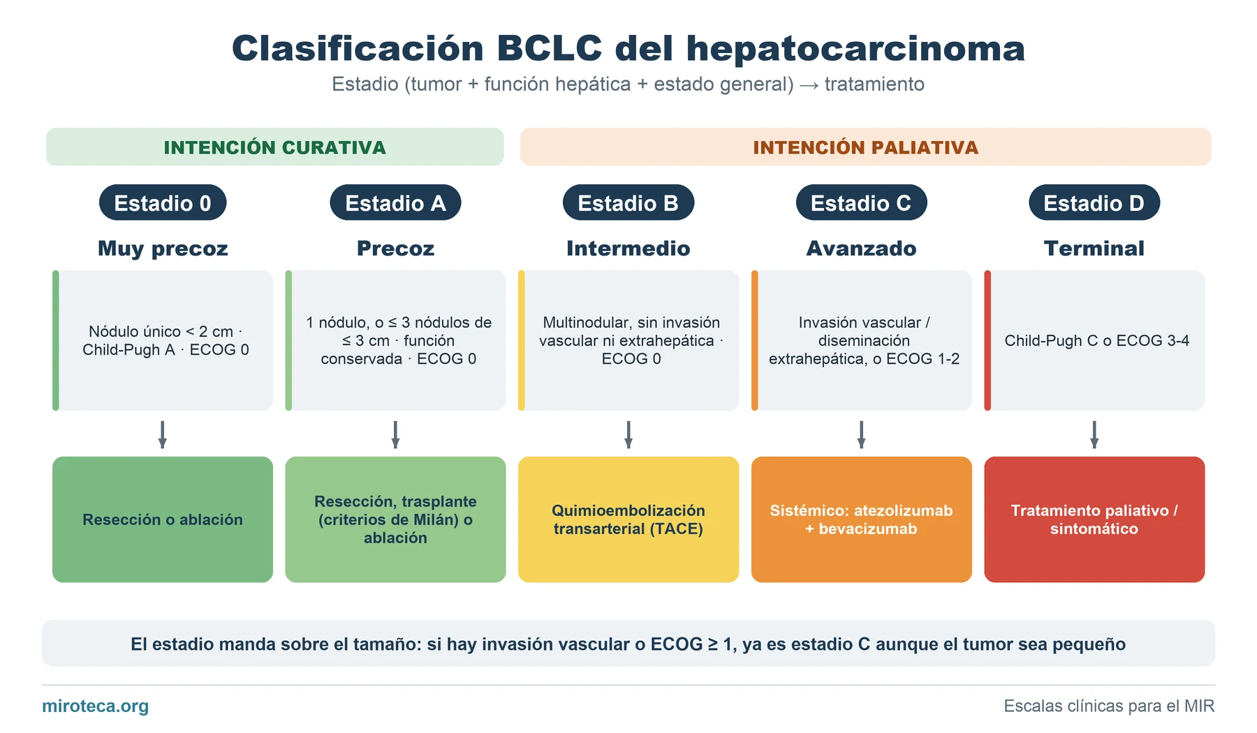 Clasificación BCLC del hepatocarcinoma: los estadios 0, A, B, C y D con sus criterios y el tratamiento indicado en cada uno