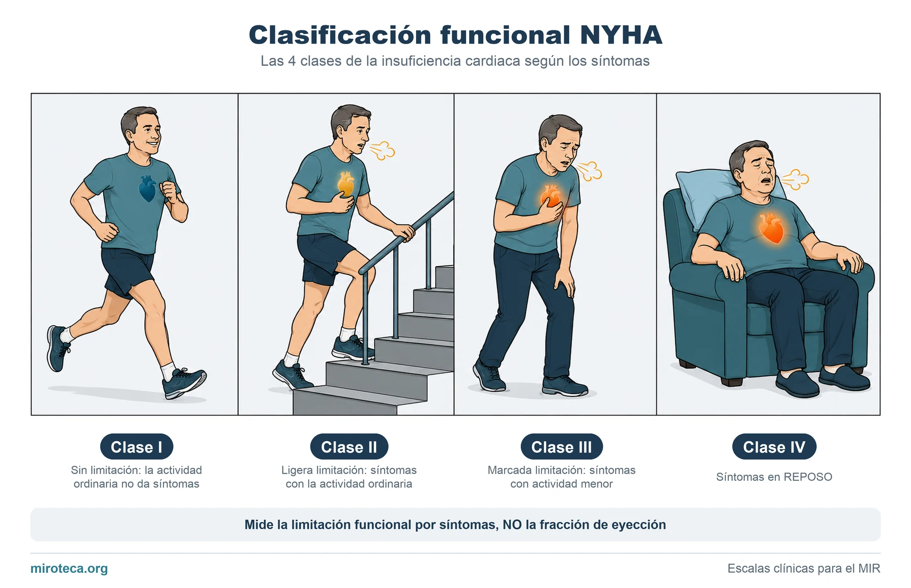Clasificación funcional NYHA: las 4 clases de insuficiencia cardiaca según la actividad que desencadena los síntomas, de correr sin molestias a tener síntomas en reposo