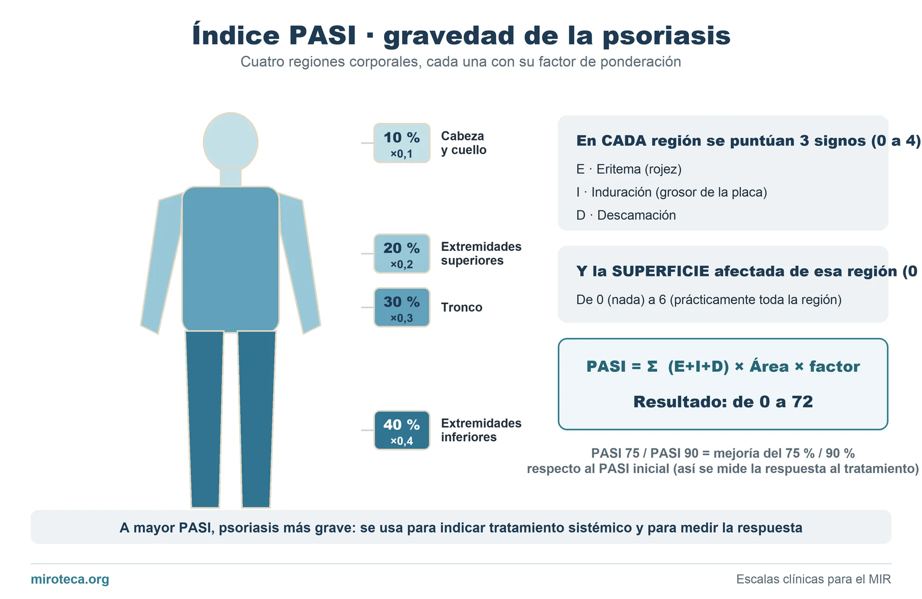 Índice PASI: las cuatro regiones corporales (cabeza y cuello, tronco, extremidades superiores e inferiores) con su factor de ponderación 0,1, 0,2, 0,3 y 0,4
