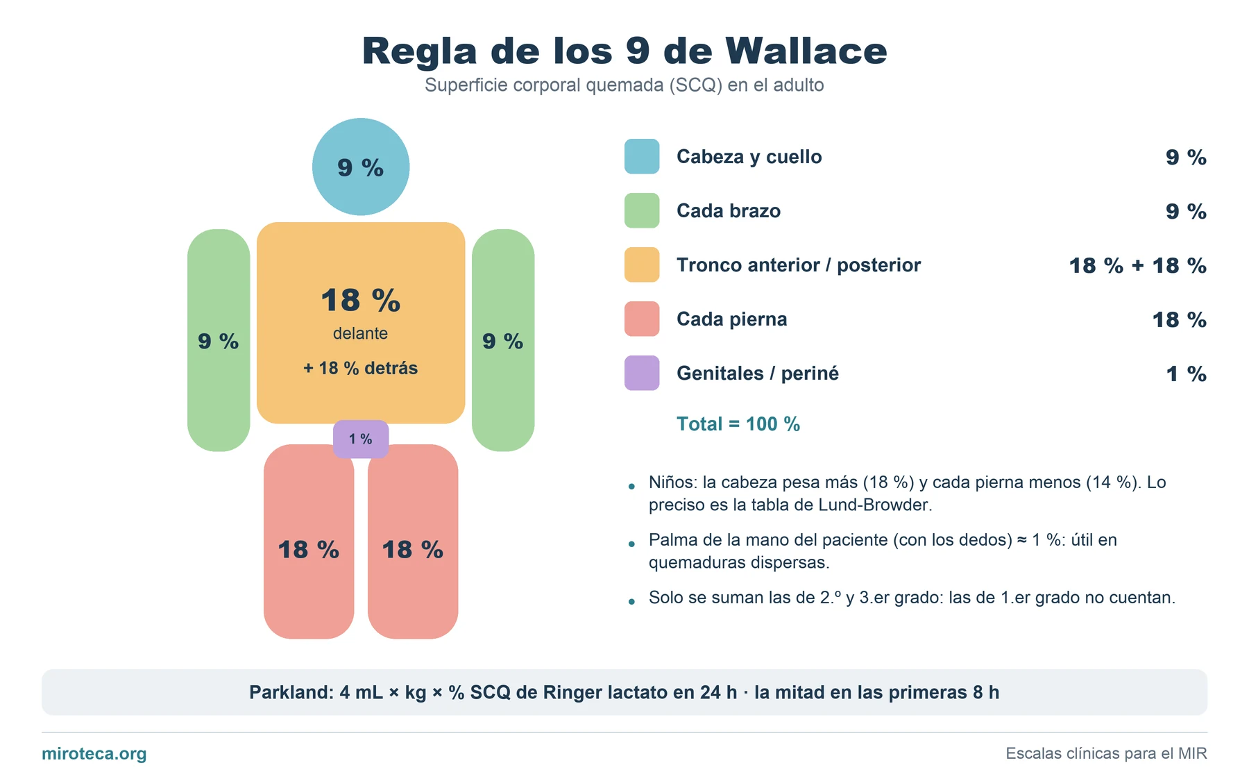Silueta del cuerpo con los porcentajes de la regla de los 9 de Wallace: cabeza 9 %, cada brazo 9 %, tronco 18 % delante y 18 % detrás, cada pierna 18 % y periné 1 %