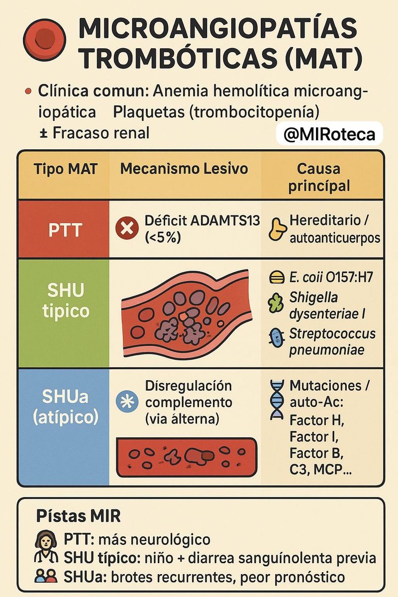 Microangiopatías trombóticas (PTT, SHU, SHUa)
