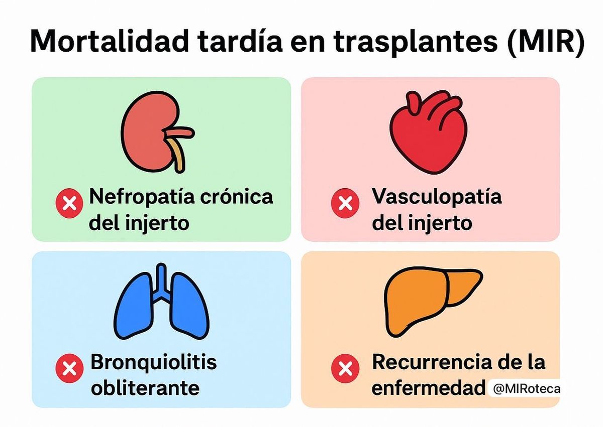 Mortalidad tardía según el trasplante