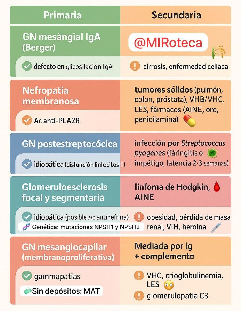 Glomerulonefritis: primarias y secundarias