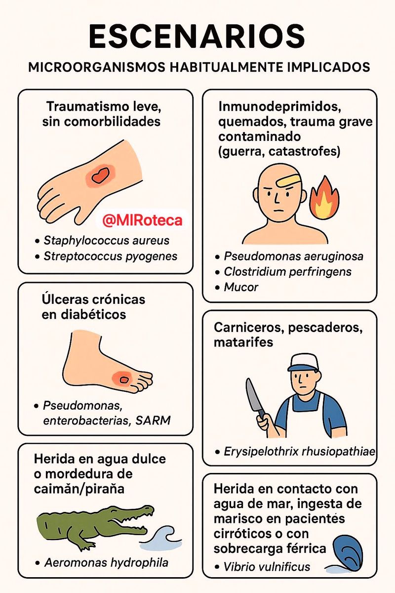Microorganismos de heridas según el escenario